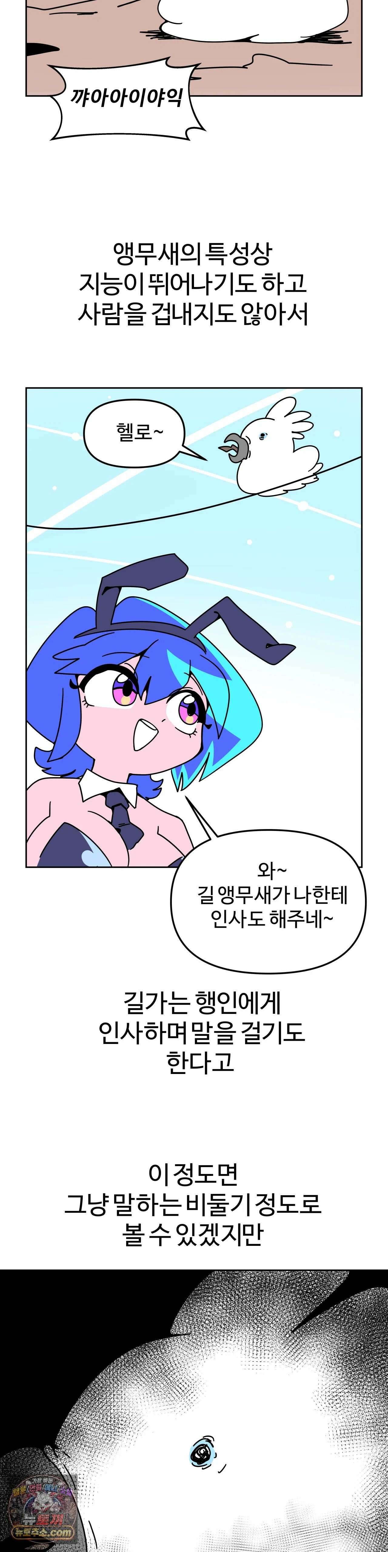 이 무슨 대자연인가 95화 - 왕관앵무2 14