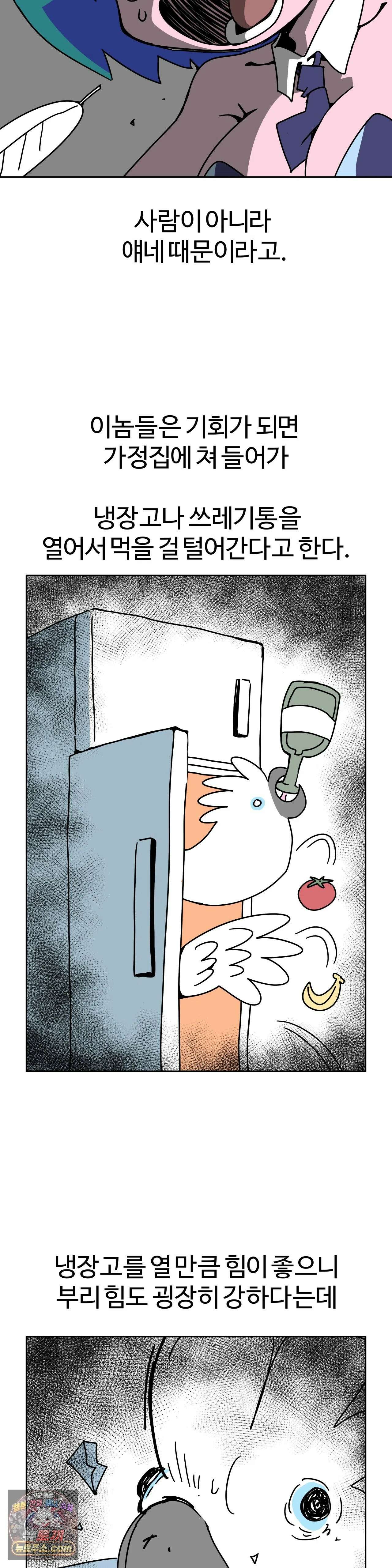 이 무슨 대자연인가 95화 - 왕관앵무2 17