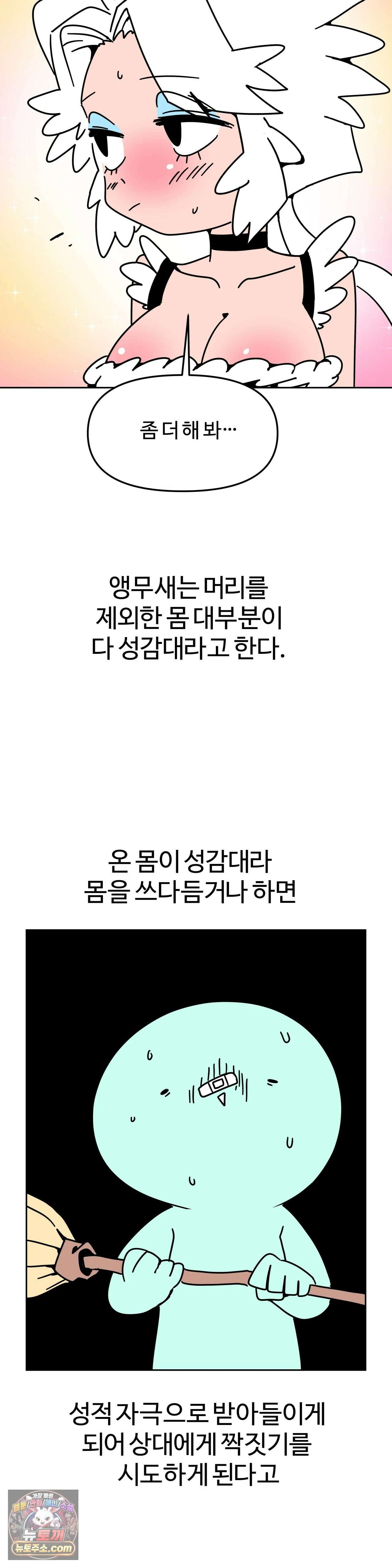 이 무슨 대자연인가 95화 - 왕관앵무2 24