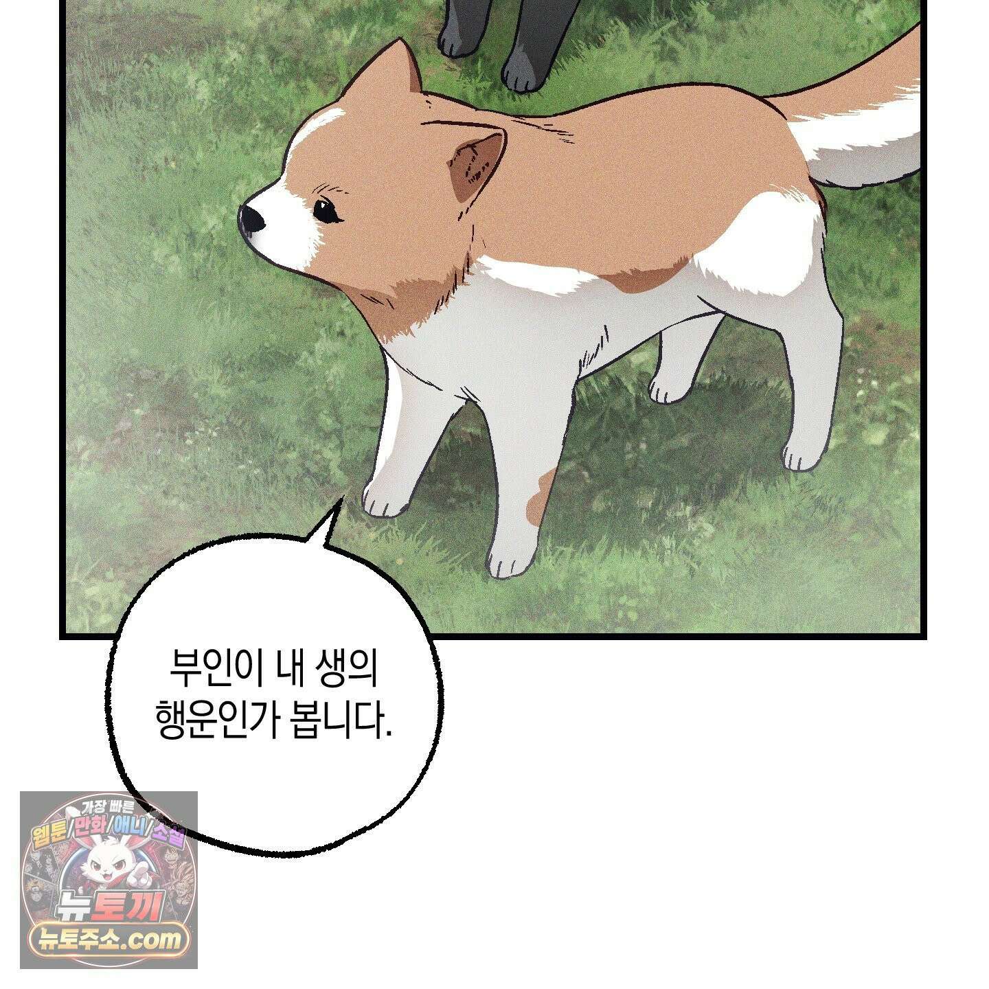 설화적 비즈니스 41화 13