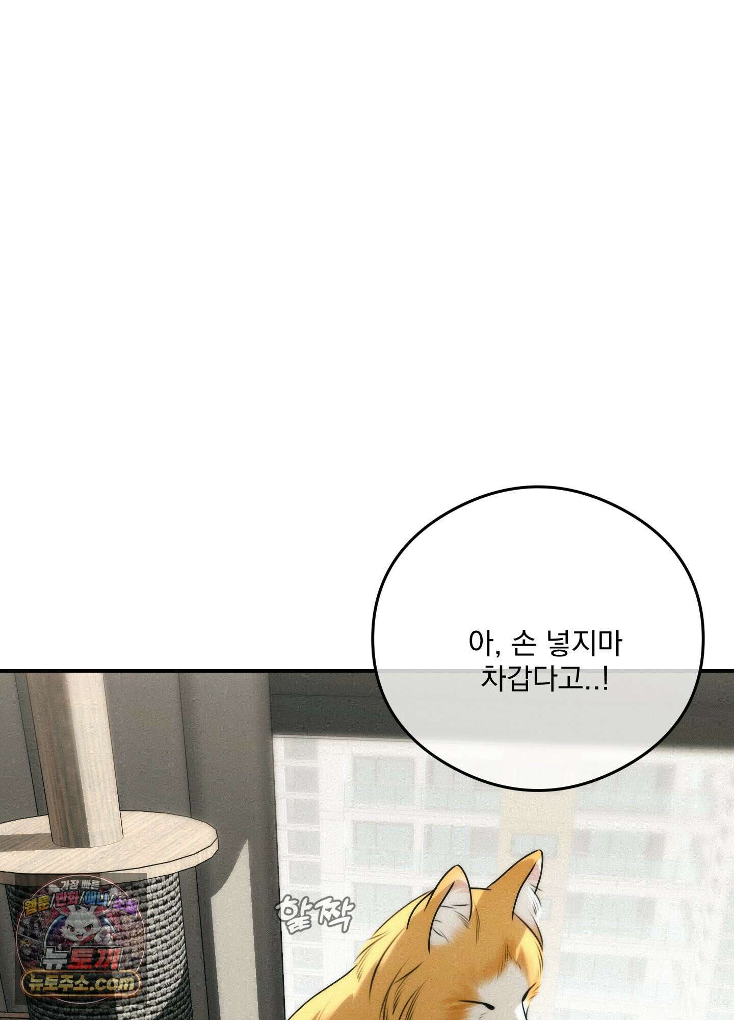 피버 (fever) 12화 <최종화> 3