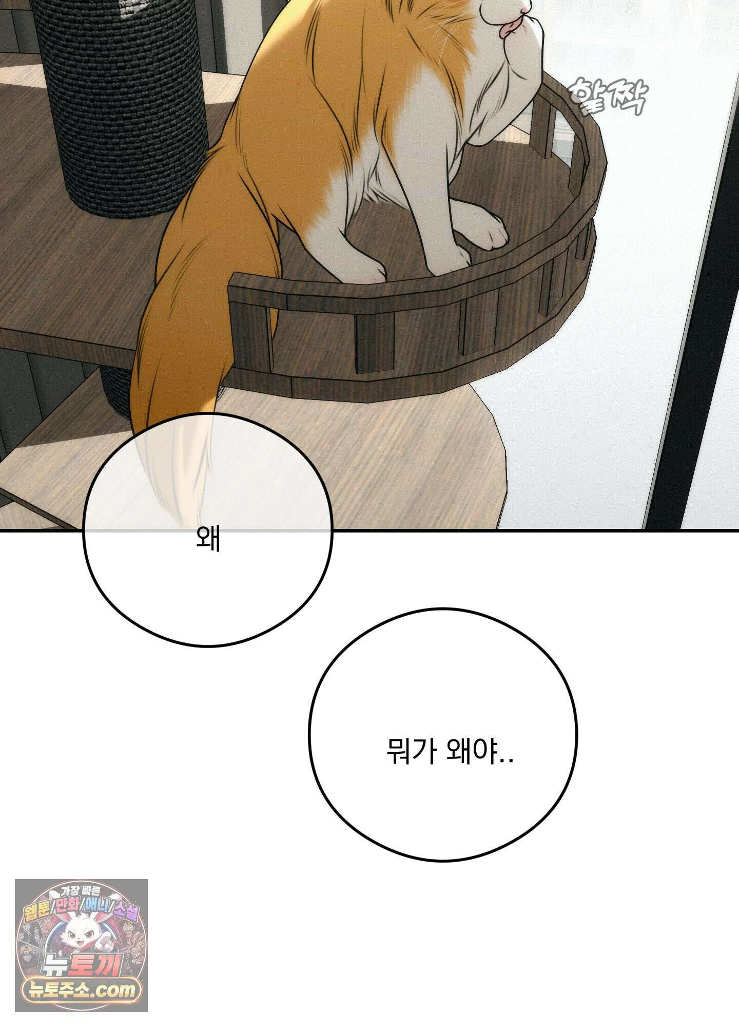 피버 (fever) 12화 <최종화> 4