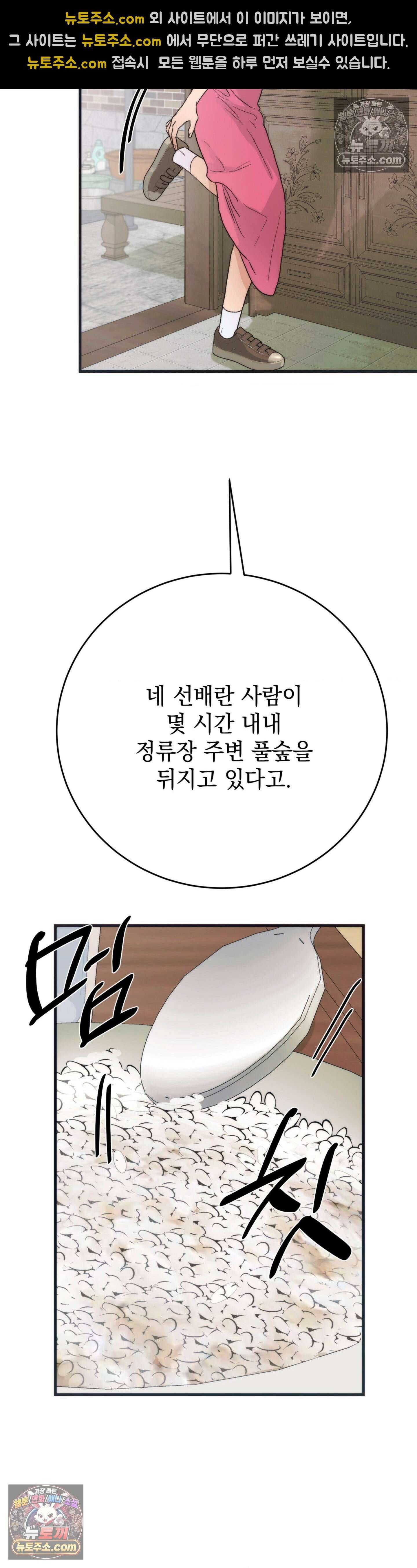 여름의 캐럴 31화 8