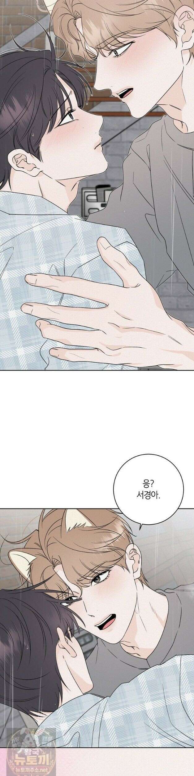 좋아하는 강아지 있어? 좋아하는 강아지 있어 마지막 화 3
