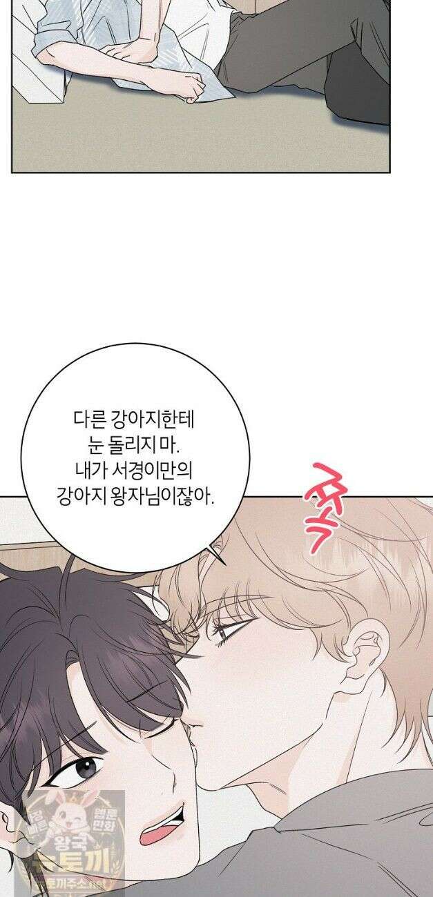 좋아하는 강아지 있어? 좋아하는 강아지 있어 마지막 화 12