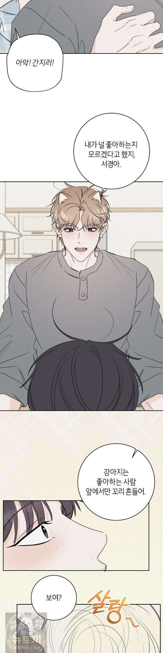 좋아하는 강아지 있어? 좋아하는 강아지 있어 마지막 화 13