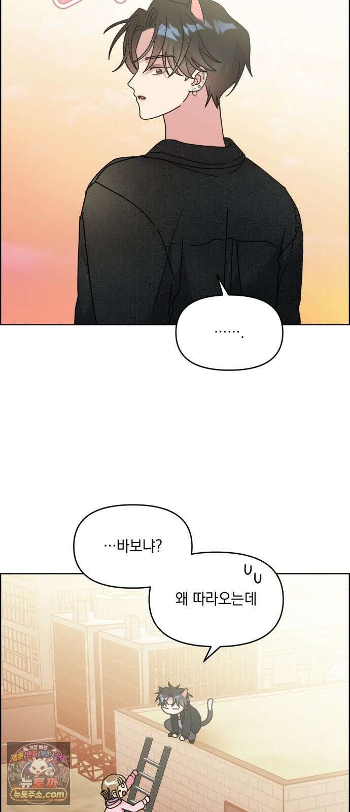 냥냥찍찍! 58화． 높은 곳의 고양이 19