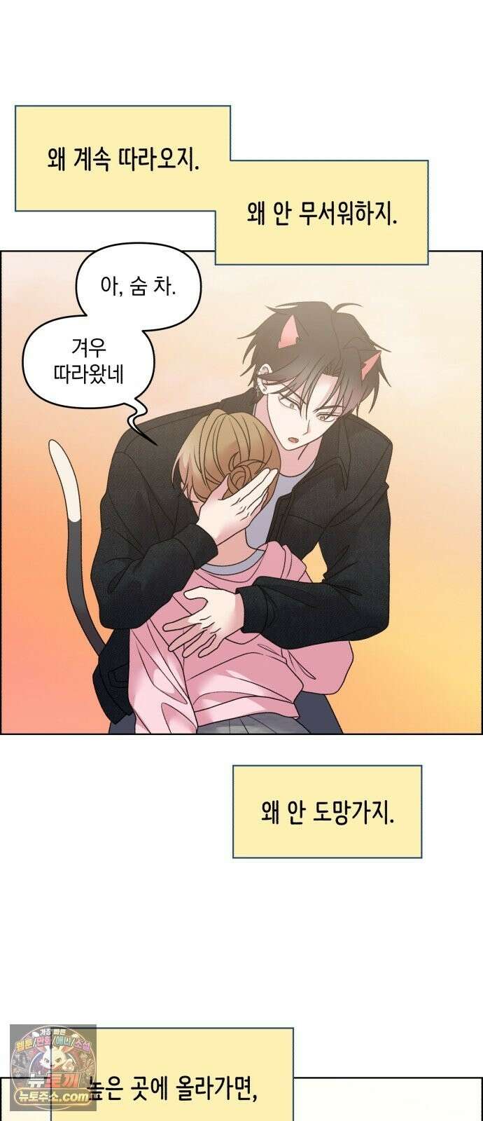 냥냥찍찍! 58화． 높은 곳의 고양이 23