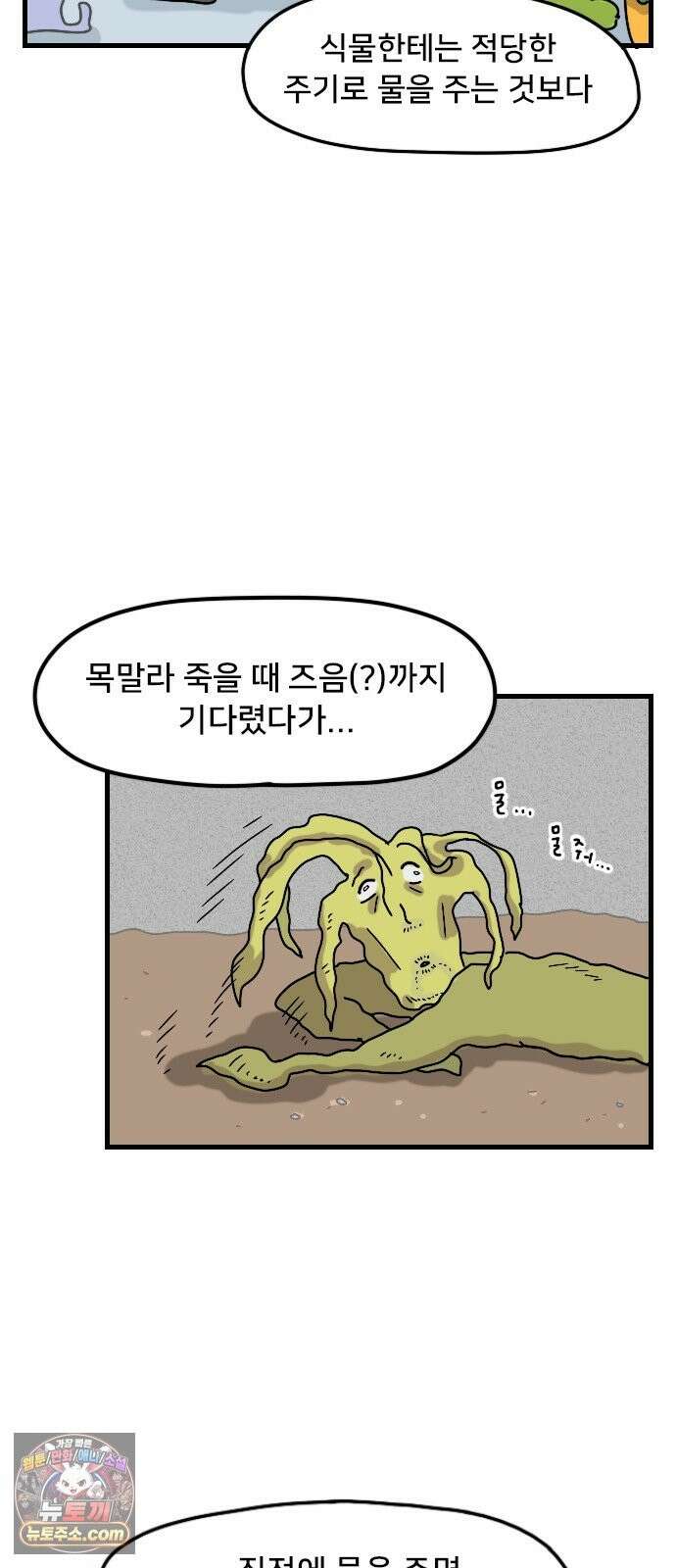 만두 생활기록부 77． 식물일기 4