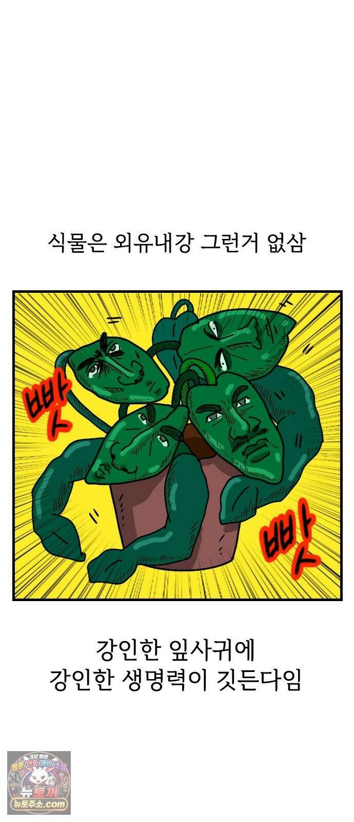 만두 생활기록부 77． 식물일기 13
