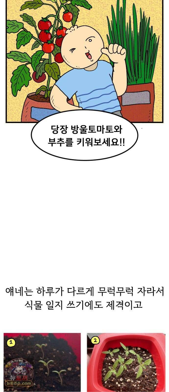 만두 생활기록부 77． 식물일기 21