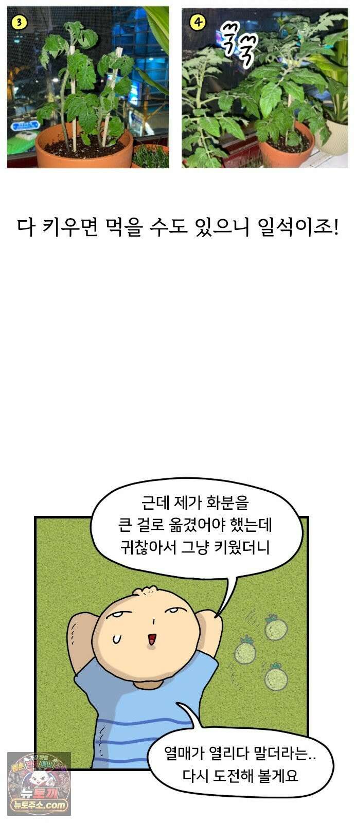 만두 생활기록부 77． 식물일기 22