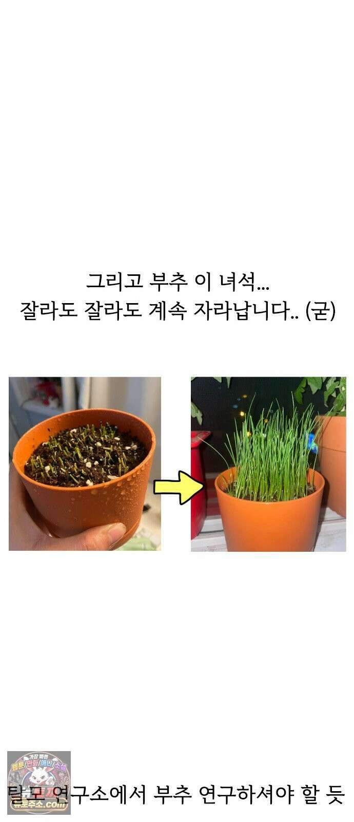 만두 생활기록부 77． 식물일기 23