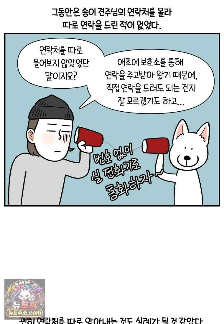 극한견주 시즌2 138화 숑이의 근황 2