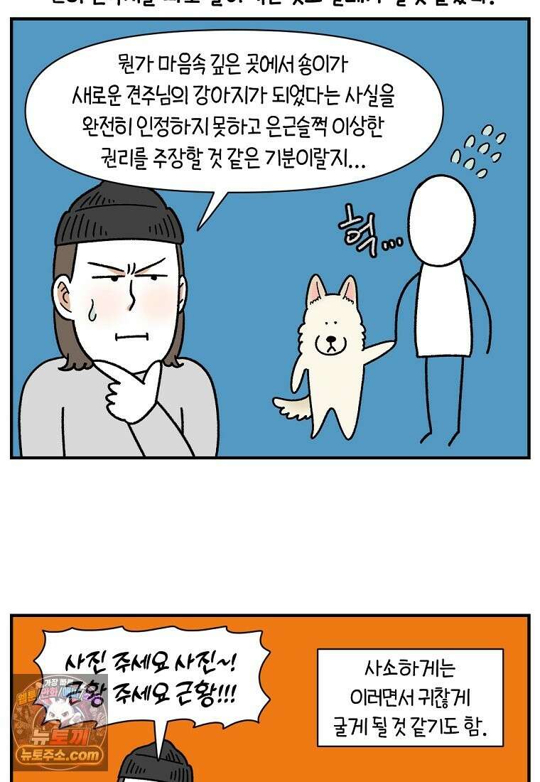 극한견주 시즌2 138화 숑이의 근황 3