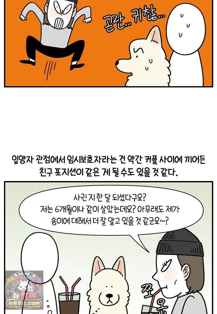 극한견주 시즌2 138화 숑이의 근황 4