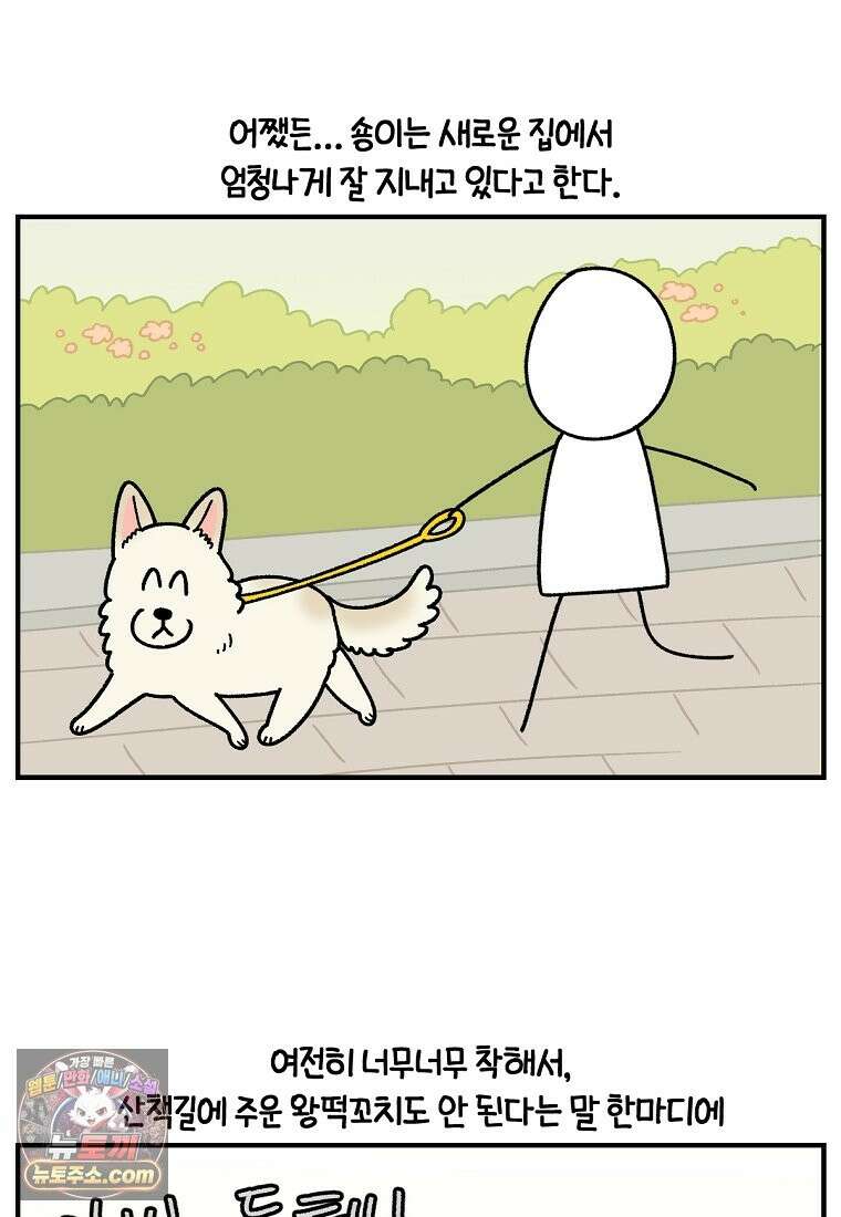극한견주 시즌2 138화 숑이의 근황 10