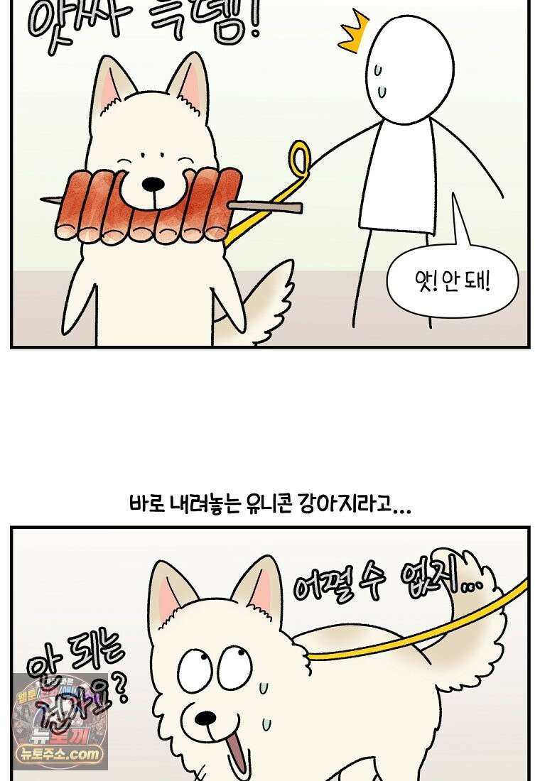 극한견주 시즌2 138화 숑이의 근황 11
