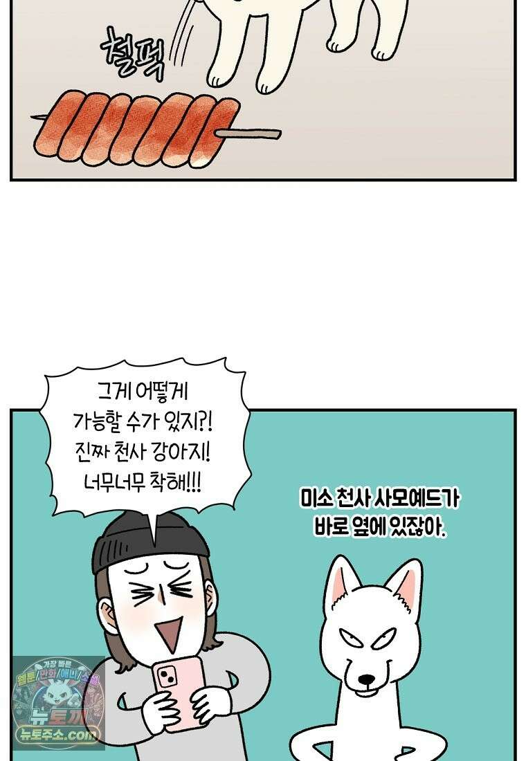 극한견주 시즌2 138화 숑이의 근황 12