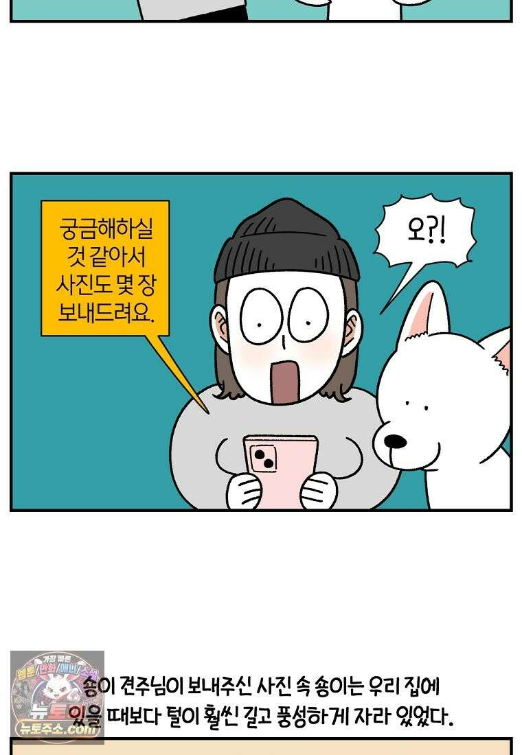 극한견주 시즌2 138화 숑이의 근황 13
