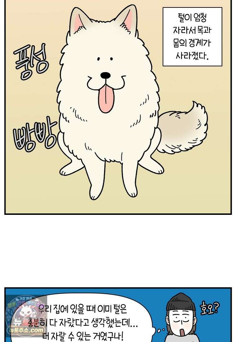 극한견주 시즌2 138화 숑이의 근황 14