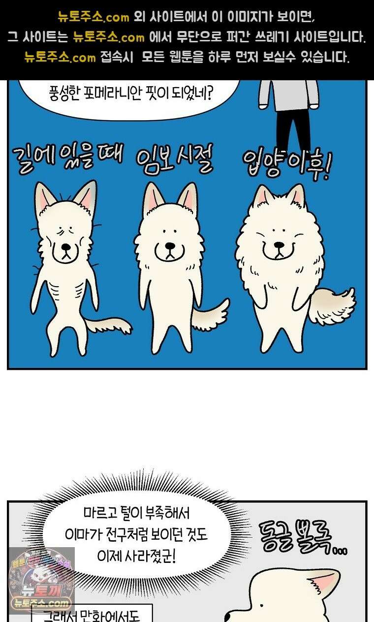 극한견주 시즌2 138화 숑이의 근황 15