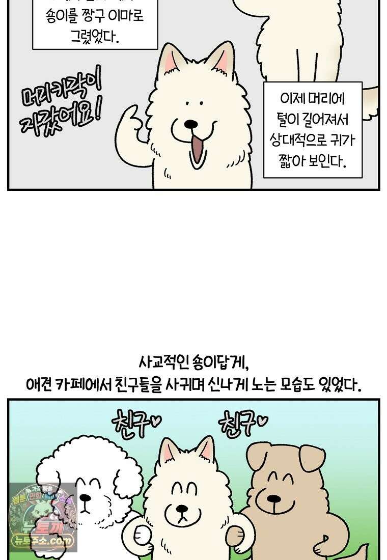 극한견주 시즌2 138화 숑이의 근황 16