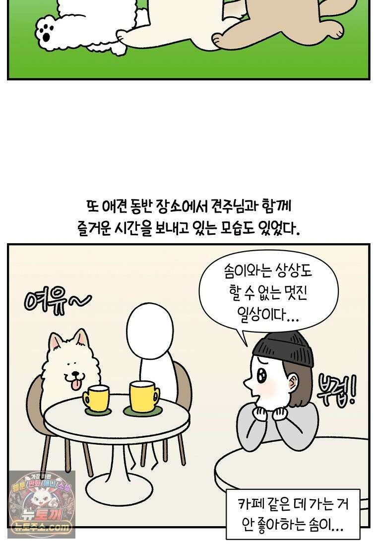 극한견주 시즌2 138화 숑이의 근황 17