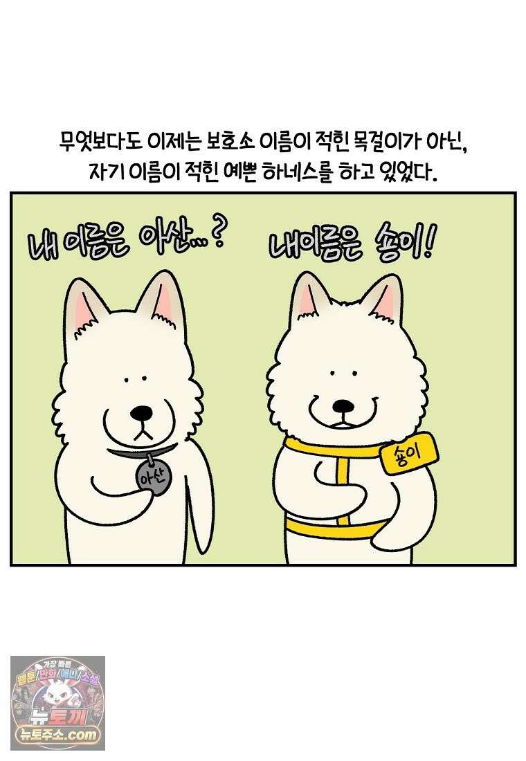극한견주 시즌2 138화 숑이의 근황 18