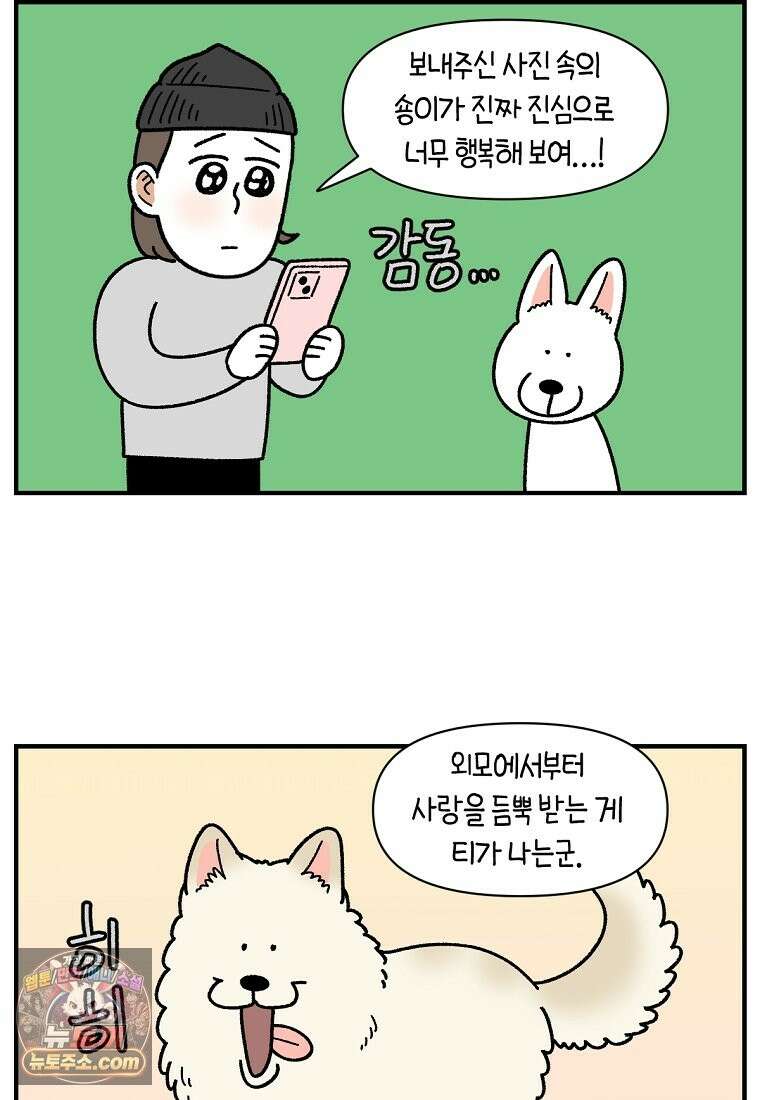 극한견주 시즌2 138화 숑이의 근황 19