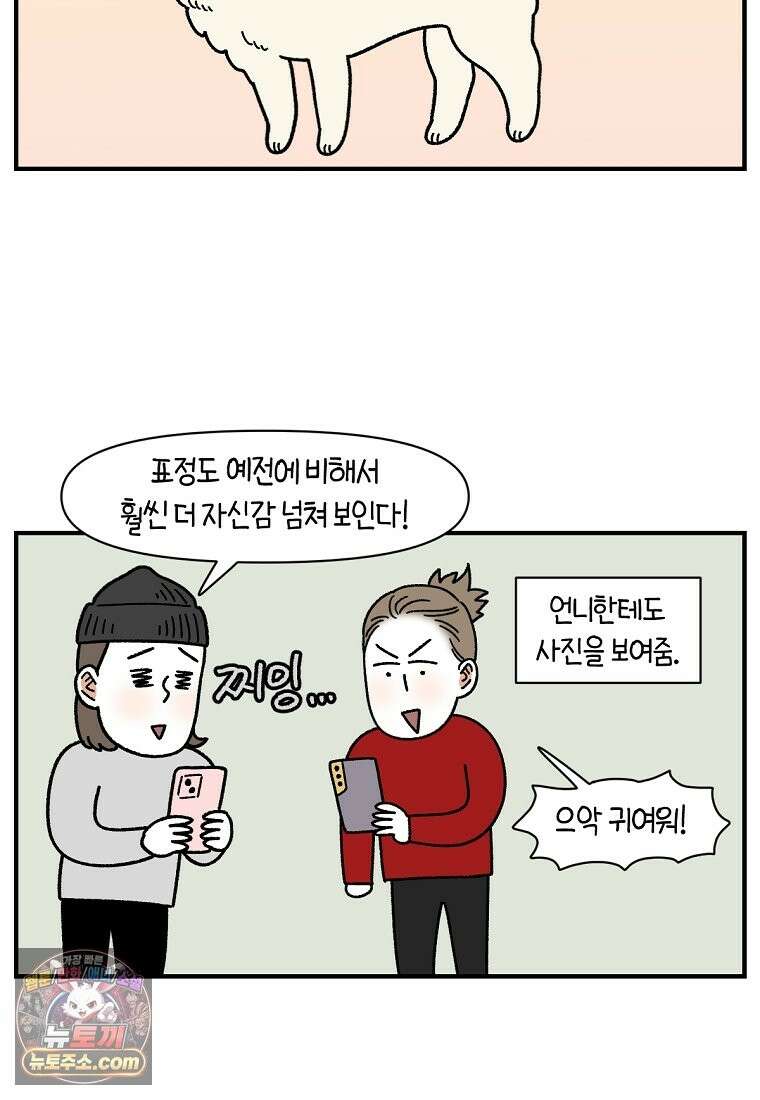극한견주 시즌2 138화 숑이의 근황 20