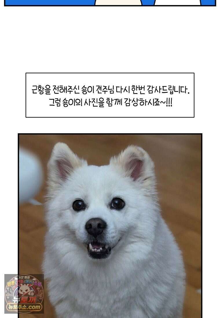 극한견주 시즌2 138화 숑이의 근황 23