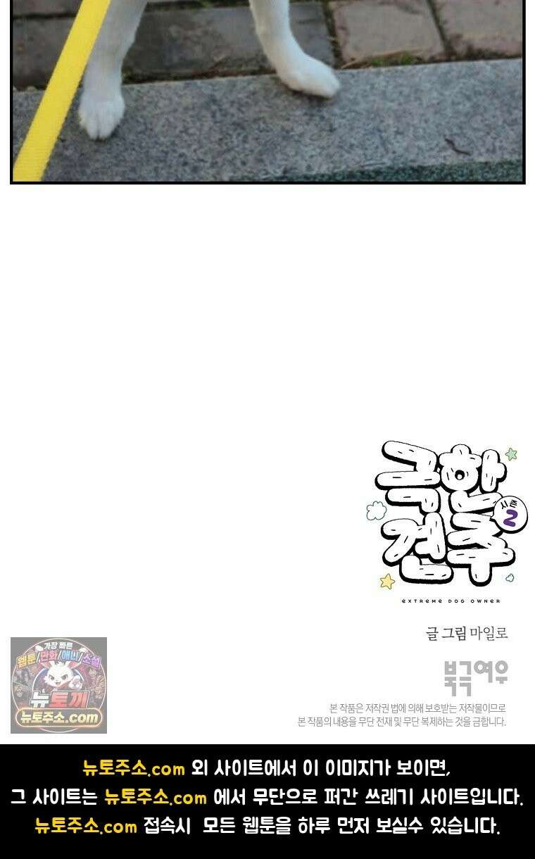 극한견주 시즌2 138화 숑이의 근황 29