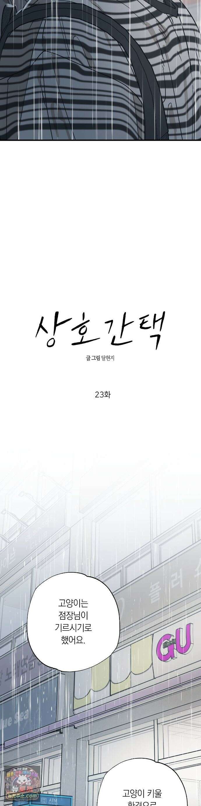 상호간택 23화 10