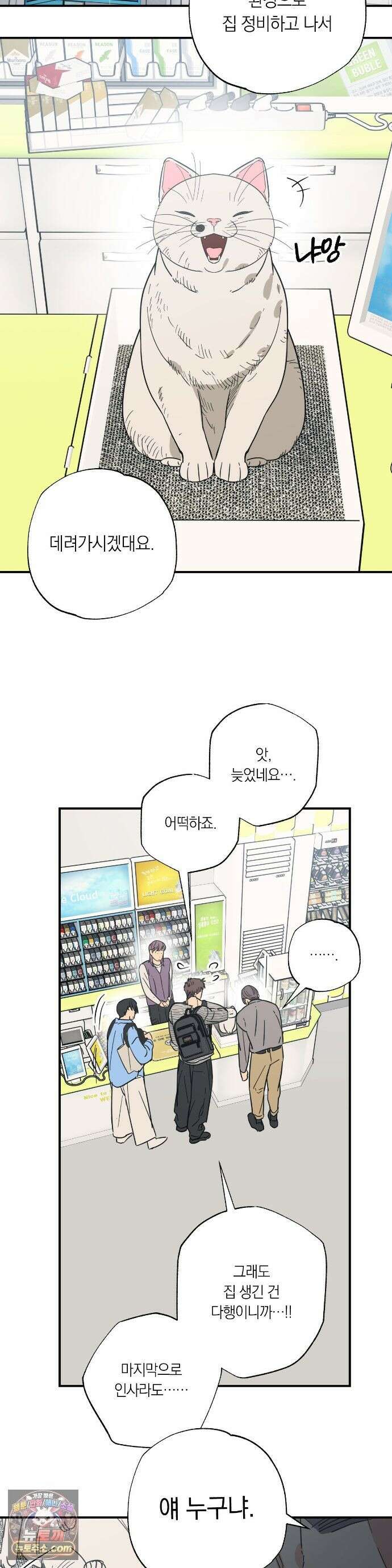 상호간택 23화 11