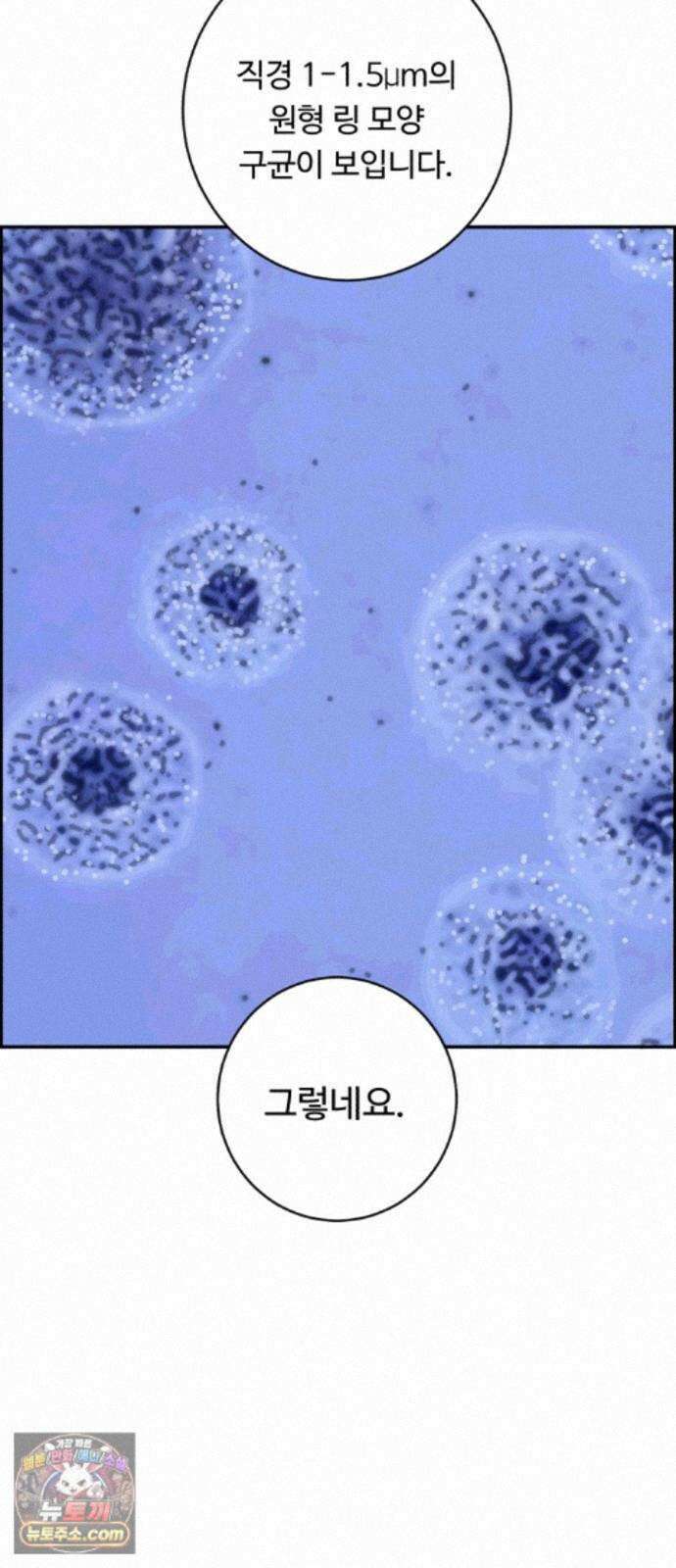 A.I. 닥터 239화 : 탐나는 인재 56