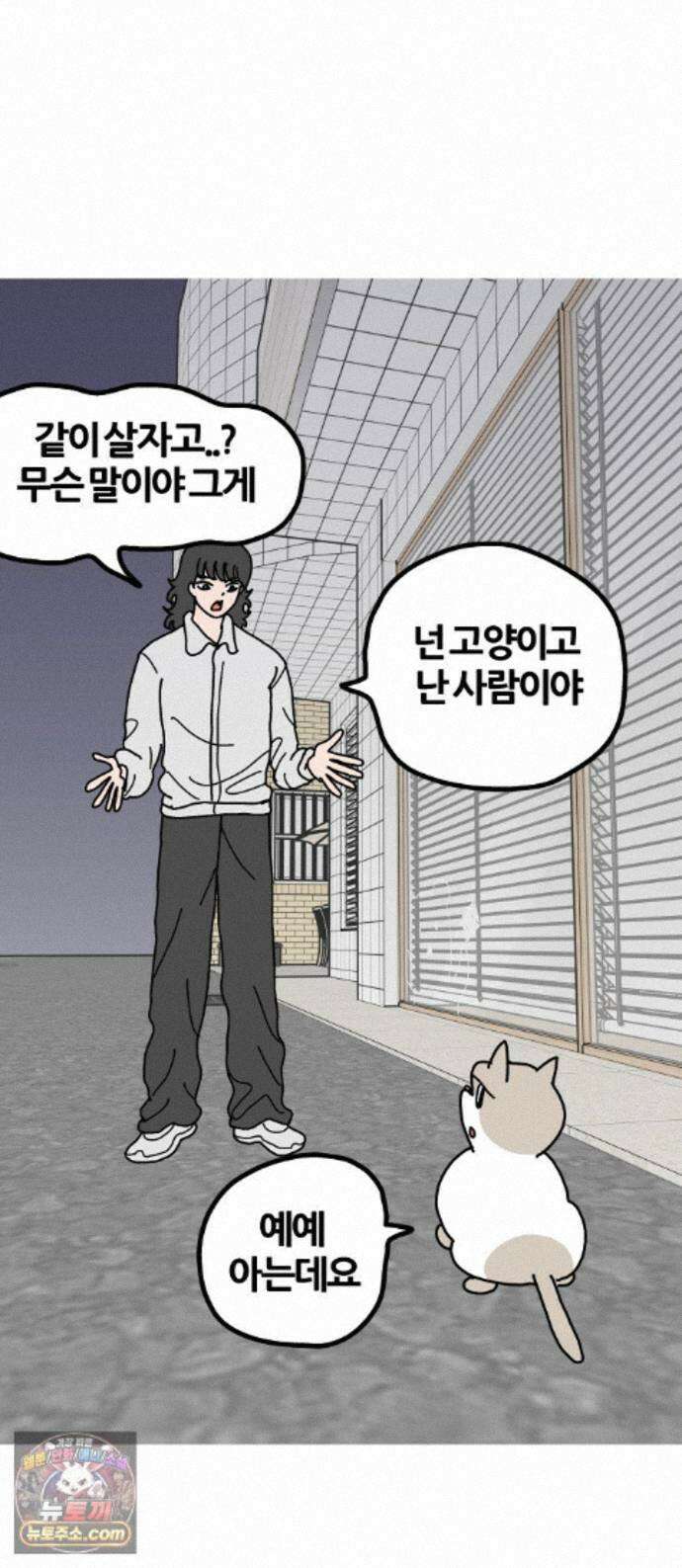 사회초년캣 16화 5만원 1