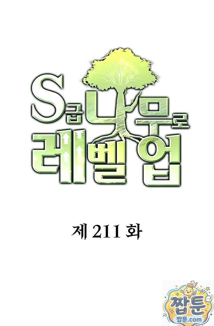 S급 나무로 레벨업 211화 1