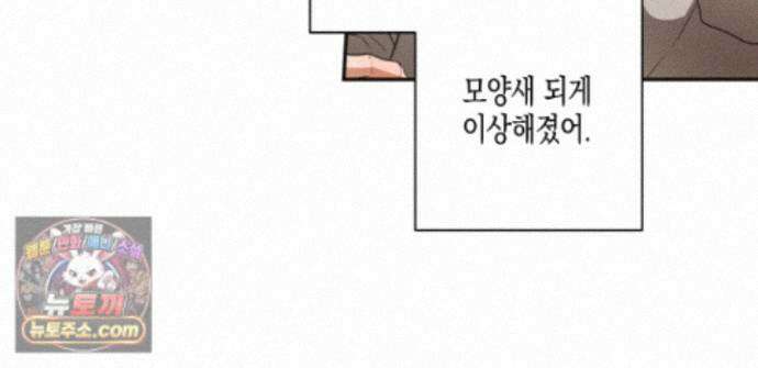 하이스쿨 솔티 하트 21화 261