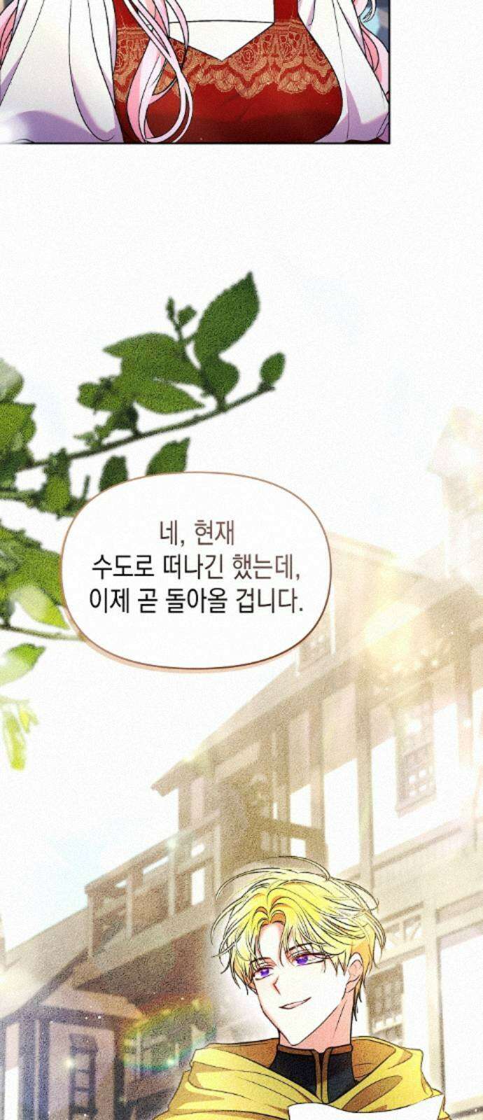아무래도 결혼을 잘못한 것 같다 58화 33