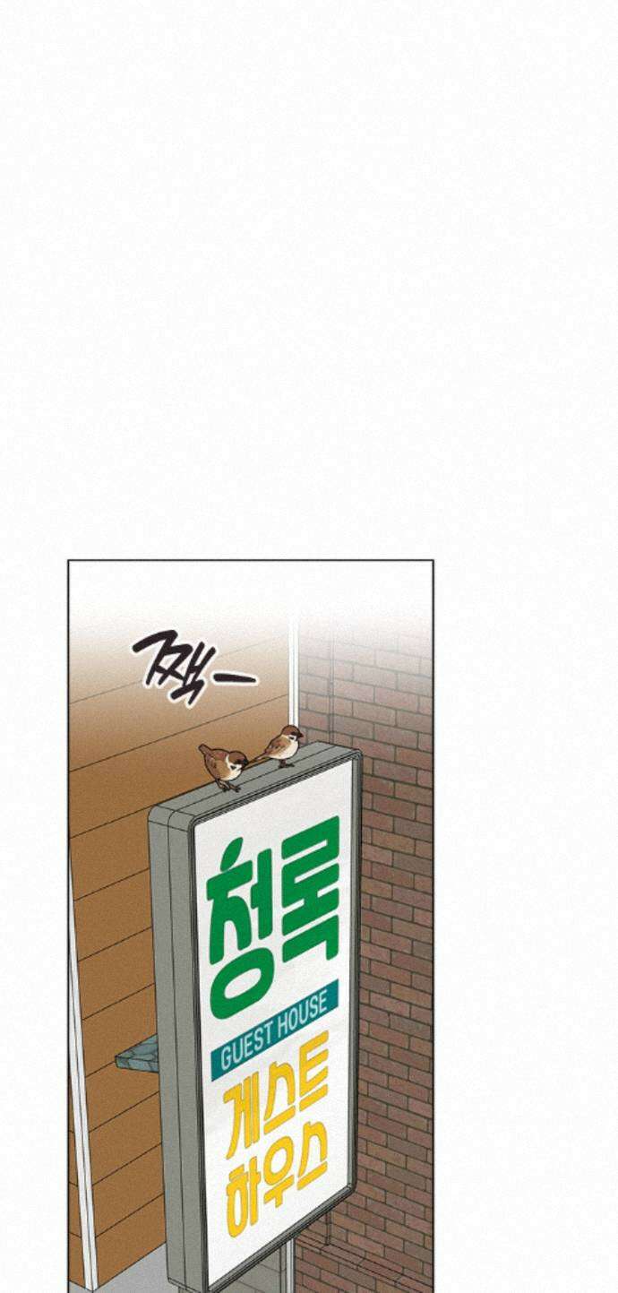 청춘정식 49. 오늘의 메뉴! 오므라이스 1