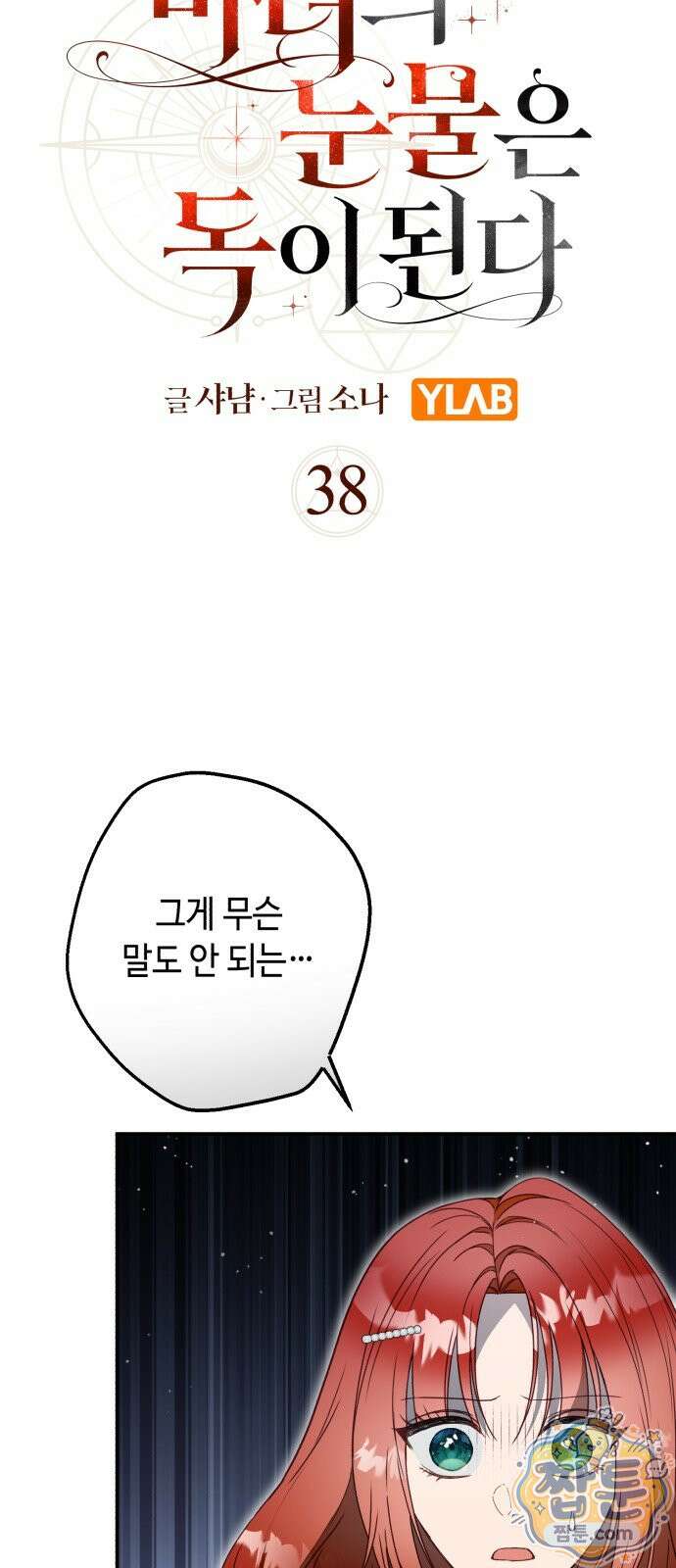 마녀의 눈물은 독이 된다 38화 4