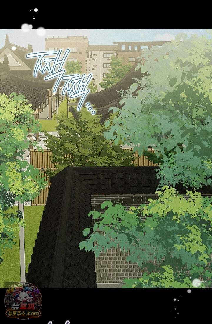 레디 슛, 포 러브(Ready Shoot, For love)  14화 11