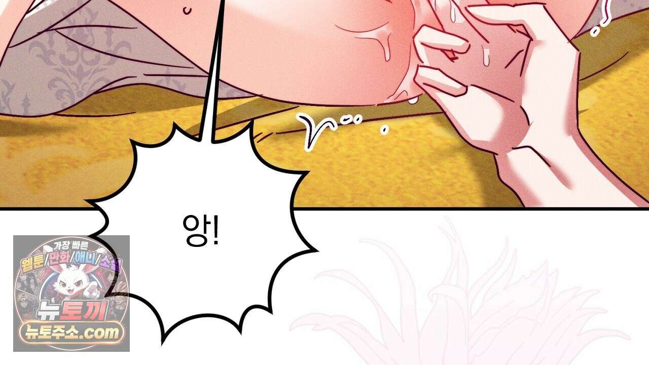 늑대 공작의 비밀 28화 150