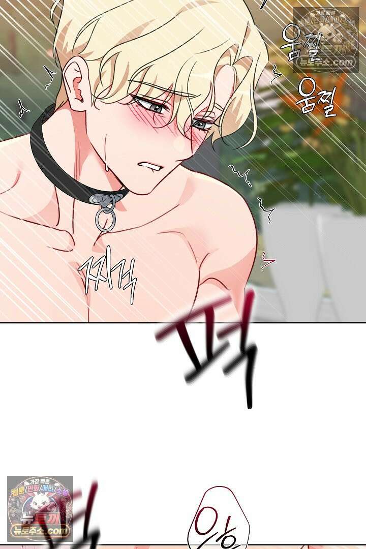 사육실의 수컷들 15화 63