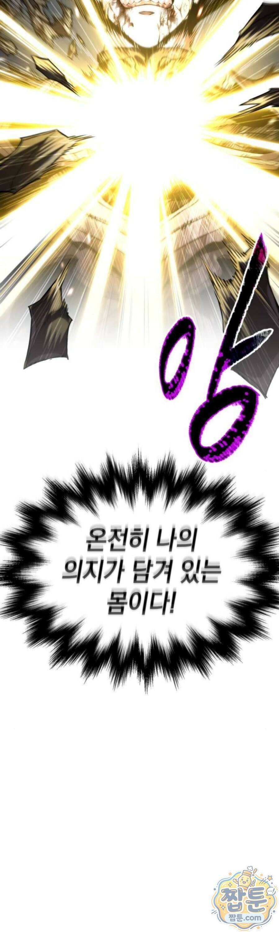 나노마신 316화 48
