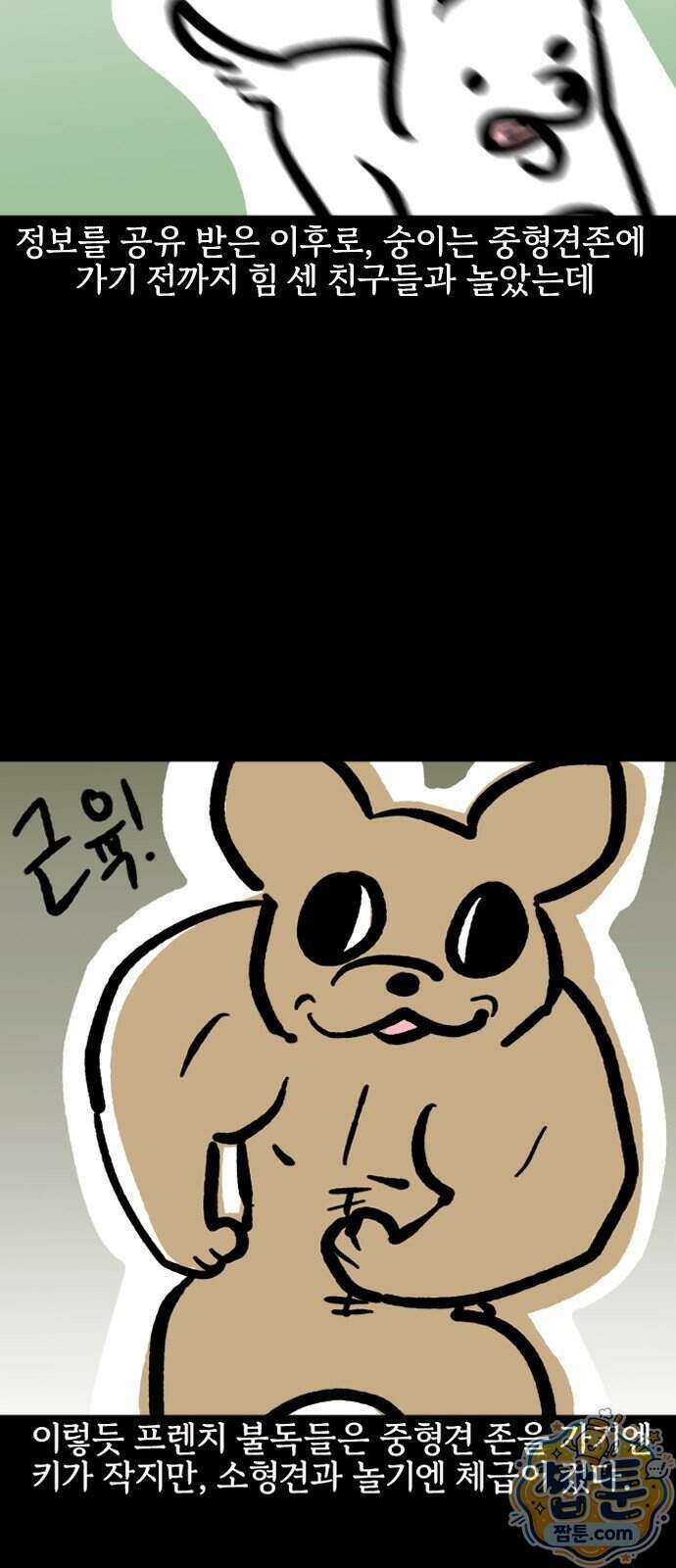 개집사 211화 14