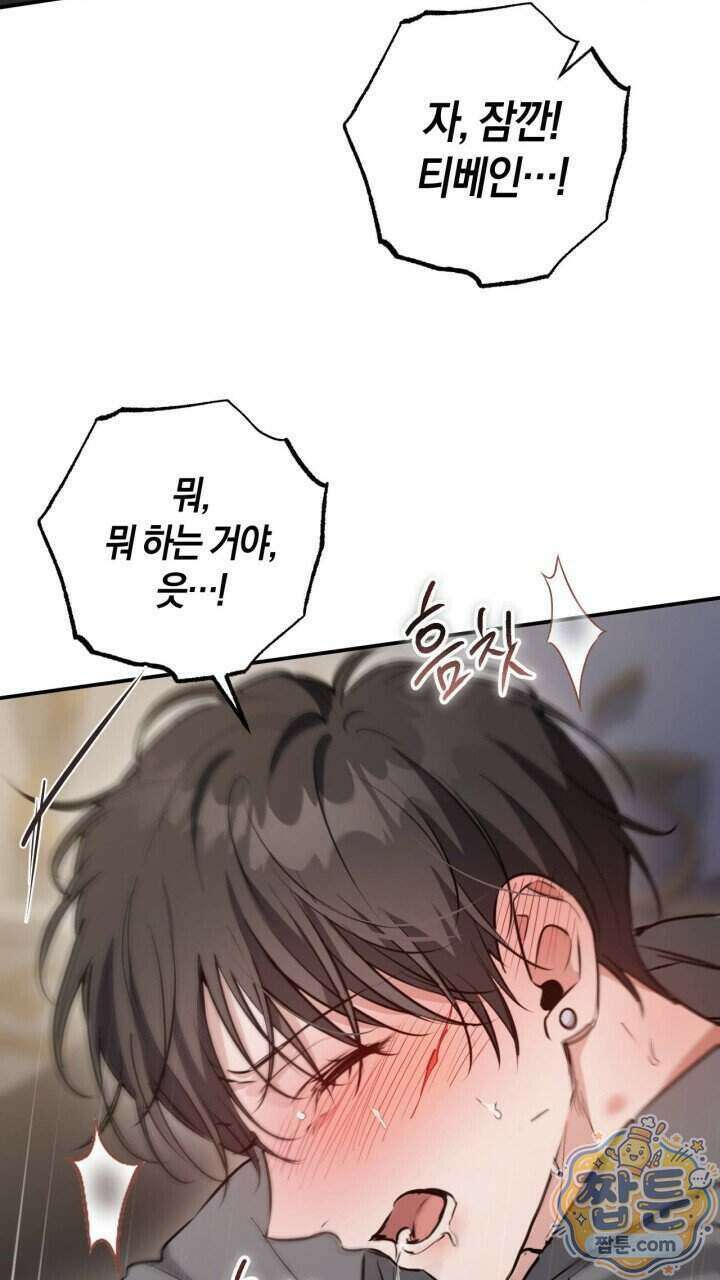 그 귀족가 형제들의 사정 16화 12