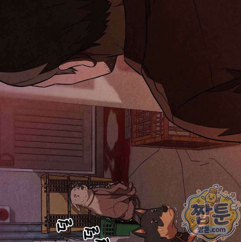 무지개다리 파수꾼 202화 141