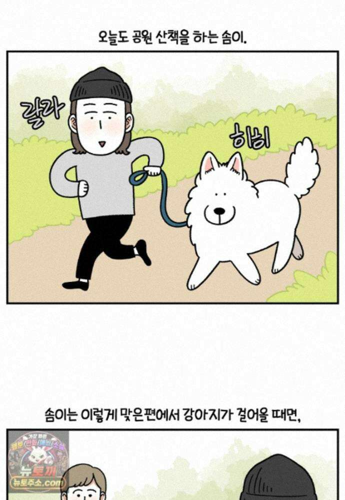 극한견주 시즌2 148화 새로운 산책 훈련 2